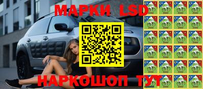 Альфа ПВП Пенза
