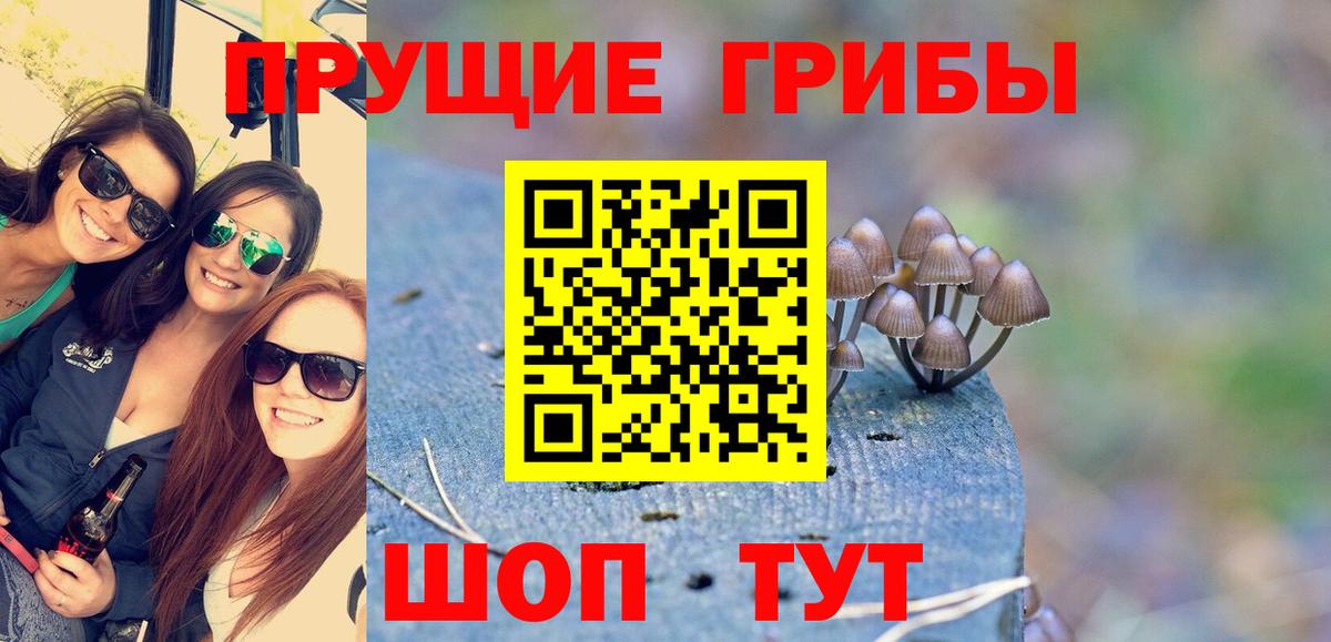 Галлюциногенные грибы мицелий Россия