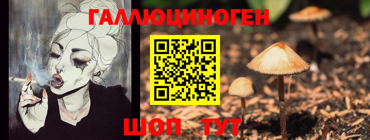 Россия  Галлюциногенные грибы Magic Shrooms  Вход с VPN 